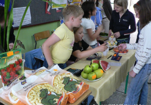 Piknik w Szkole podstawowej nr 12 im. AK w Zgierzu (rok 2007)