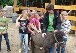 Klasy IIb i IIIa w skansenie indiańskim i gospodarstwie agroturystycznym 2012